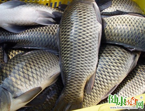 給淡水魚(yú)去腥味的幾種方法