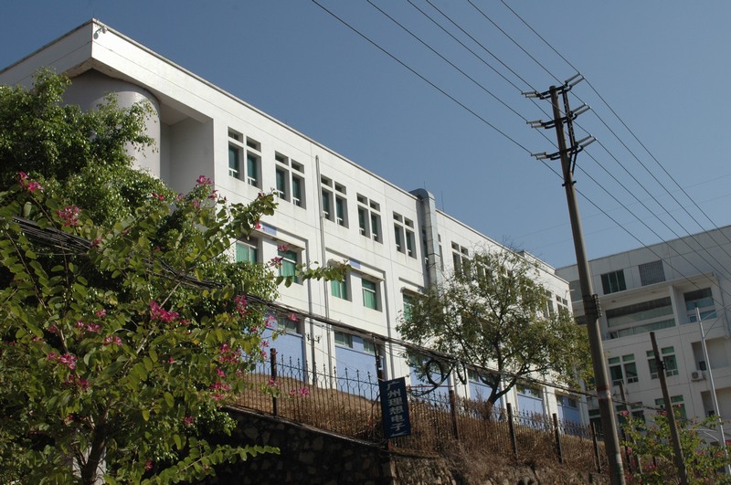 �V���߲�����