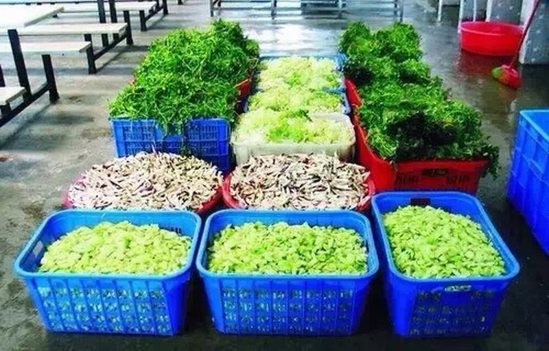 ���c���D